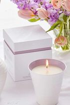 Sophie Conran Wax Fill Wisdom Sophie Conran Wax Fill Wisdom