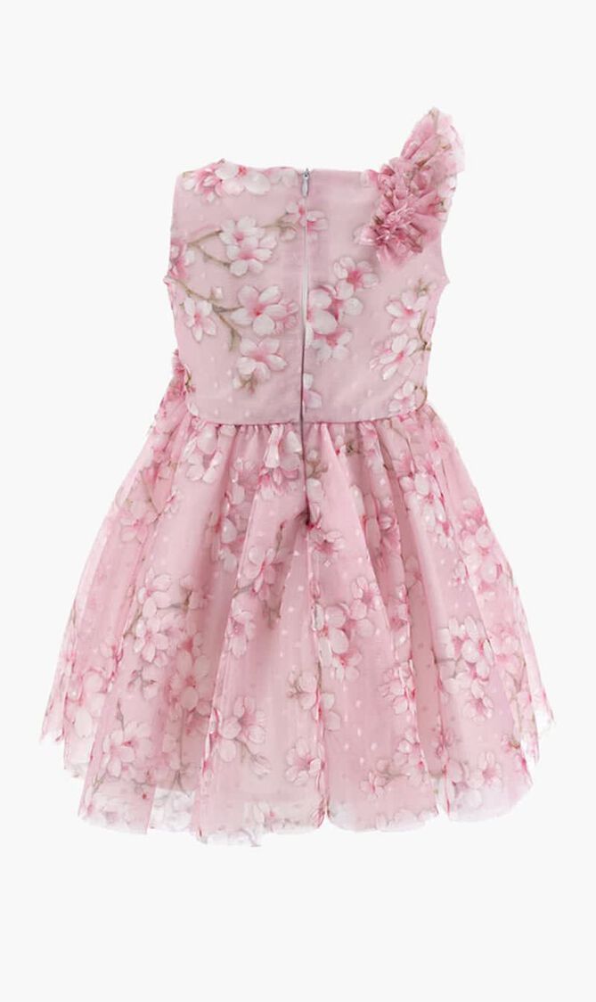 Tulle Birthday Dress