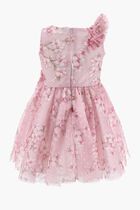 Tulle Birthday Dress