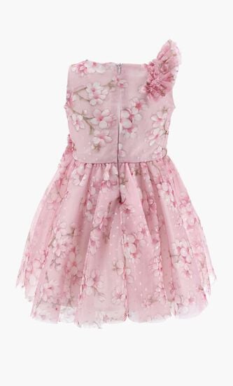 Tulle Birthday Dress