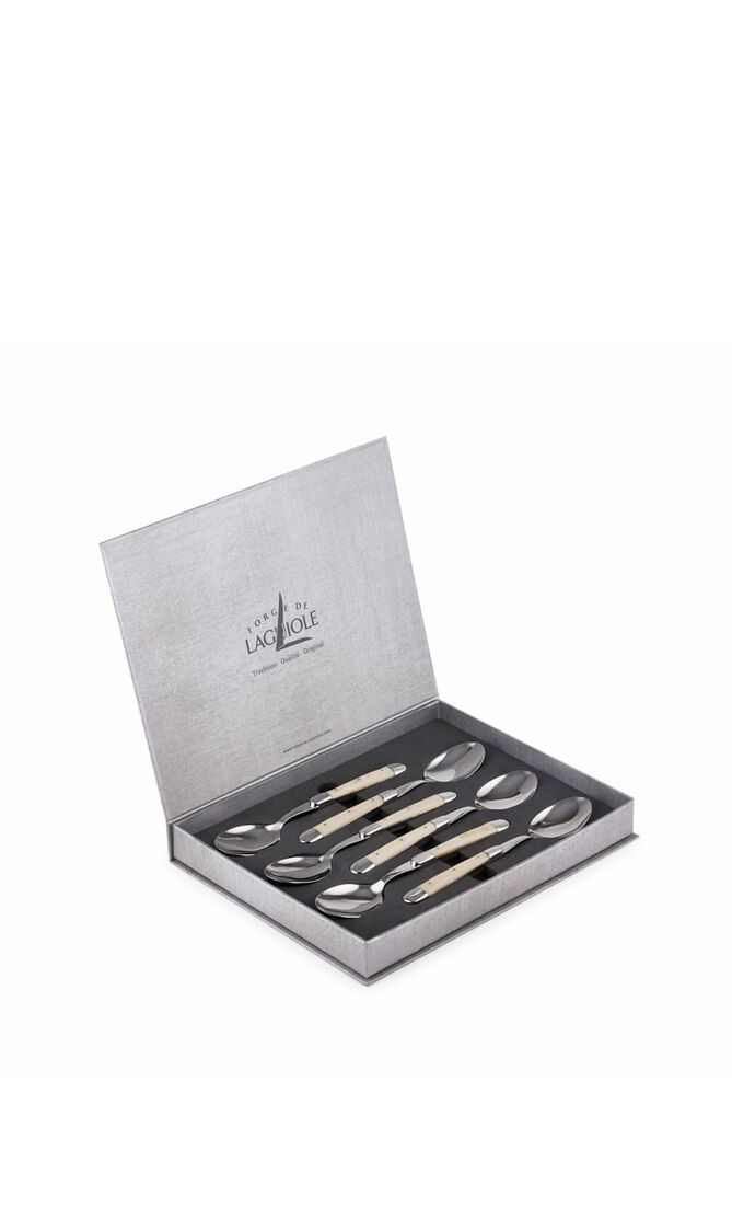 Set of 6 - Acrylic Handle Soup Spoons