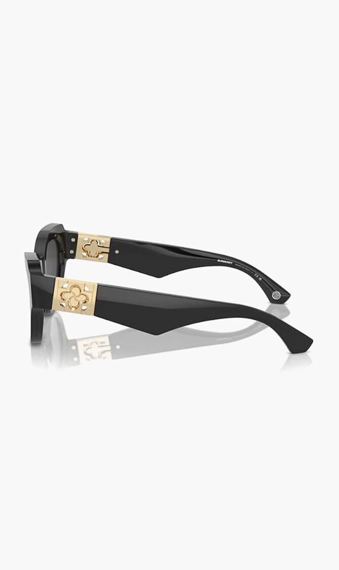 Full Rim Sunglasses