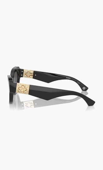 Full Rim Sunglasses