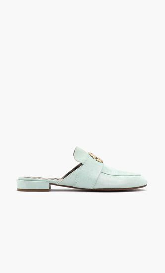 Iechy Flats
