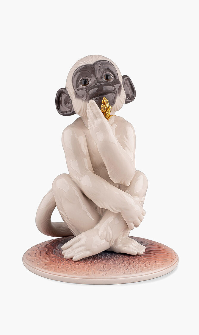 Little Monkey