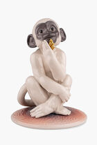 Little Monkey