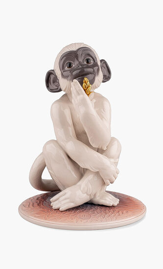 Little Monkey