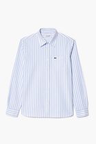 Regular Fit Striped Oxford Cotton Shirt