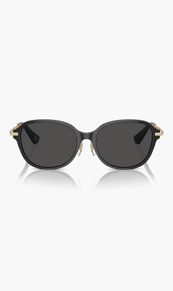 Full Rim Sunglasses