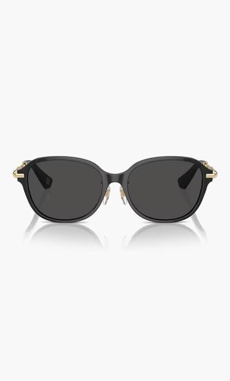 Full Rim Sunglasses