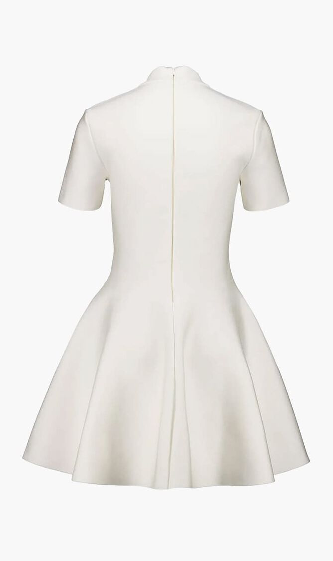 Tulip Skirt Mini Dress