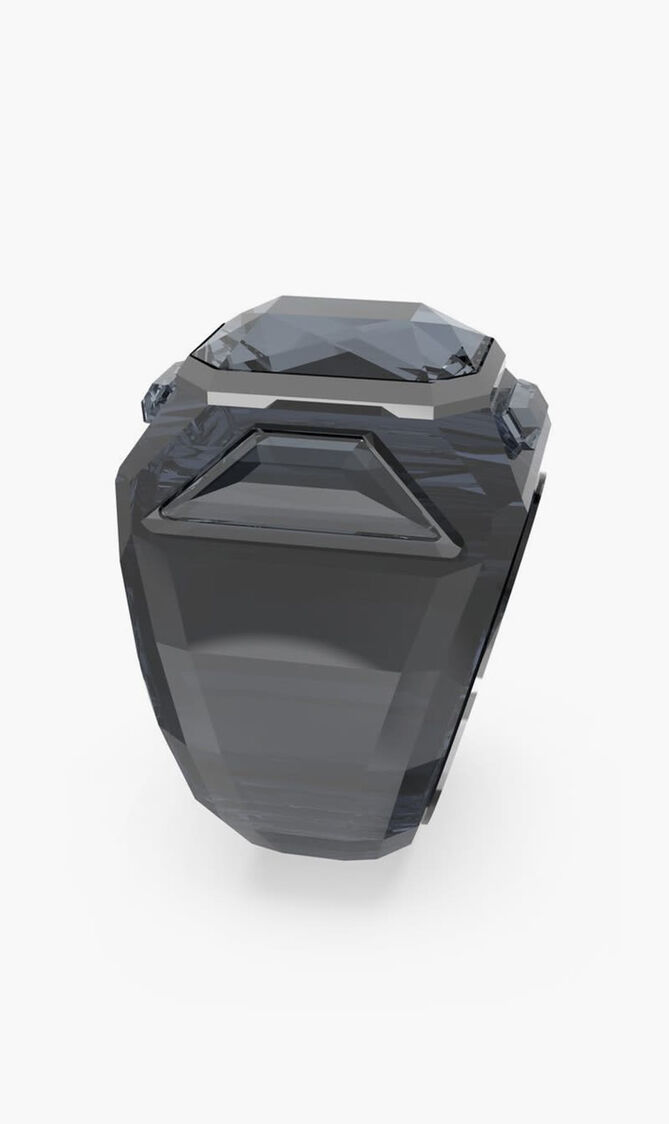 SJC CHROMA RING GRAP/RUS 58MM