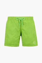 Water Reactive Shorts
