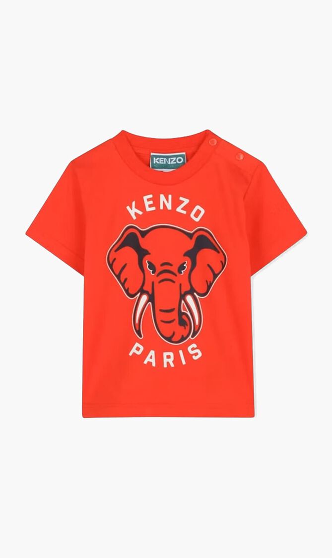 Short Sleeves T-Shirt