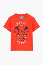 Short Sleeves T-Shirt