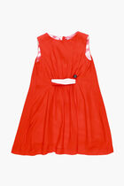 Zebra Print Crepe Dress