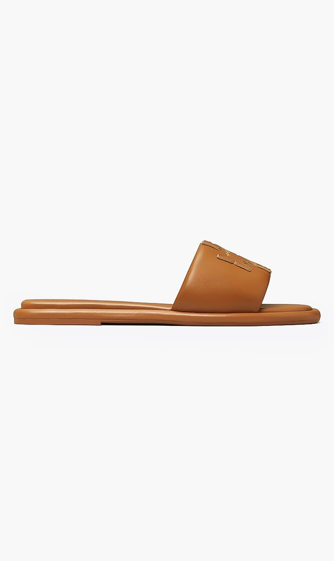Double T Slides