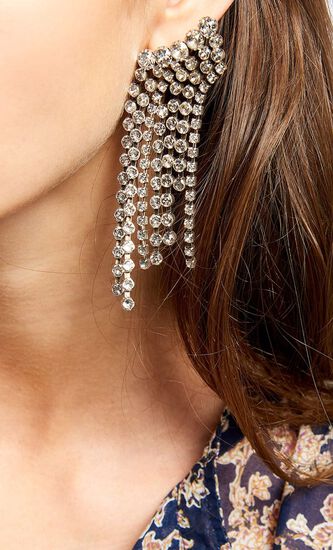 A Wild Shore Silver Earrings