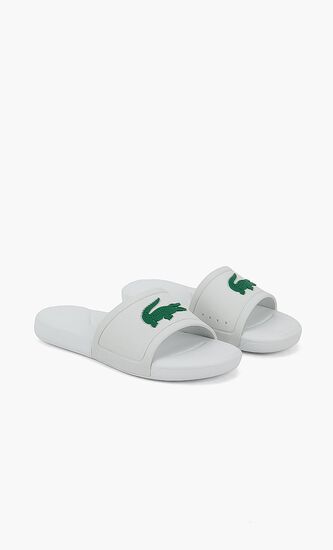 Classic Logo Slides