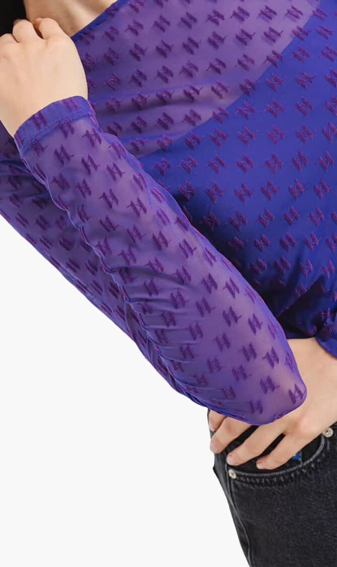 Mesh Long Sleeve Top