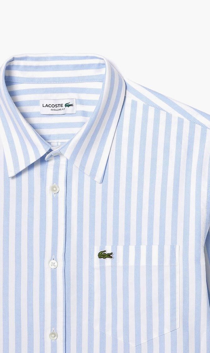 Regular Fit Striped Oxford Cotton Shirt