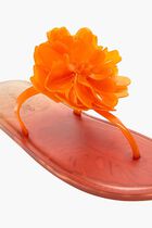 CITRUS FLOWER JELLY FLAT SANDAL