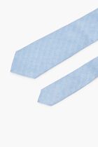 Light Colored Plain Tie
