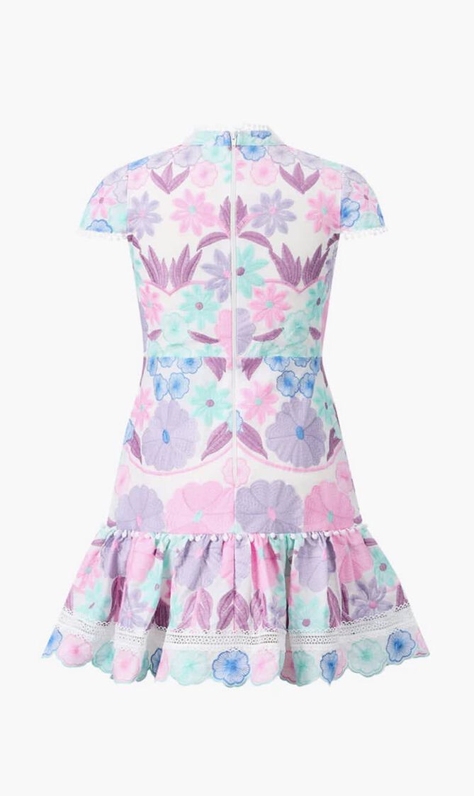 Danielle Embroidered Dress