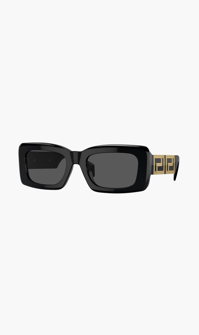 Full Rim Sunglasses