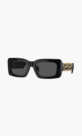 Full Rim Sunglasses