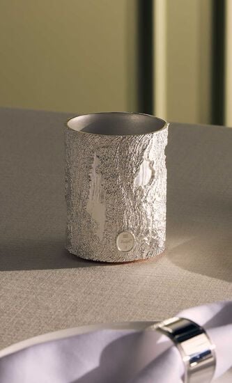 S&Atilde;&uml;ve D'argent Vase Silver Plated