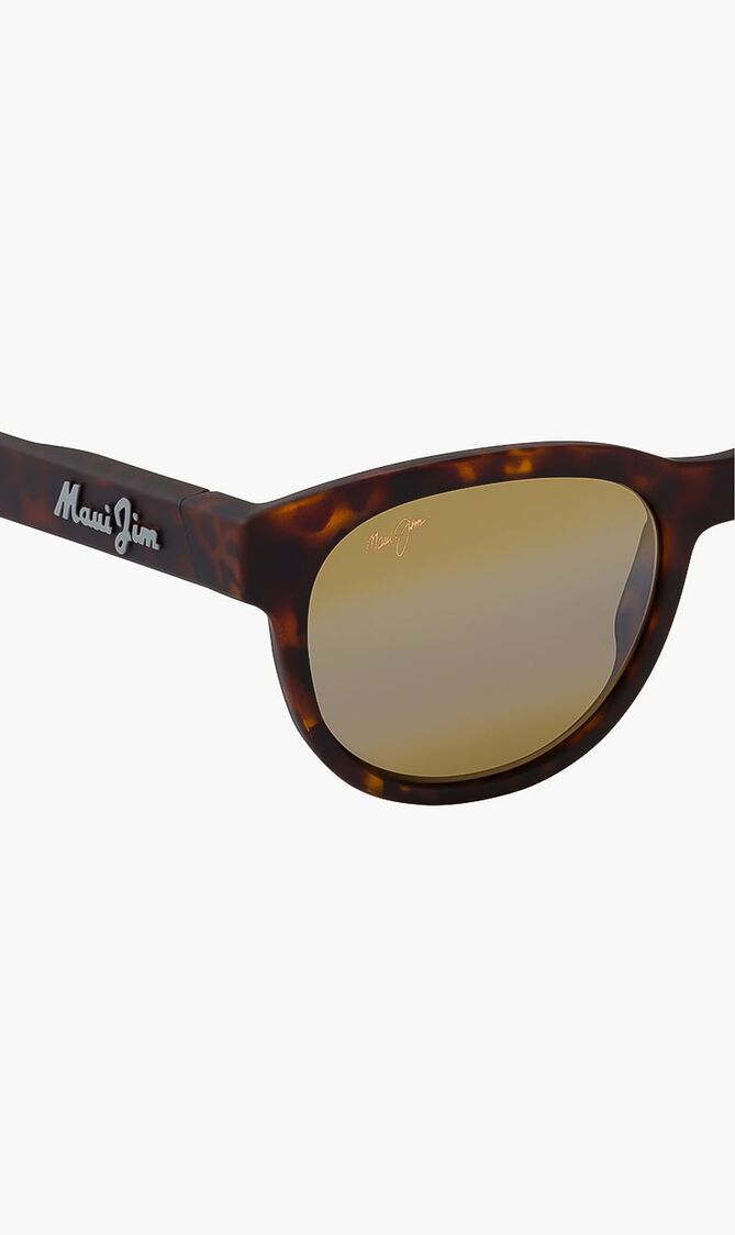 Havana Sunglasses