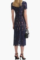 NAVY LACE CONTRAST COLLAR MIDI DRESS