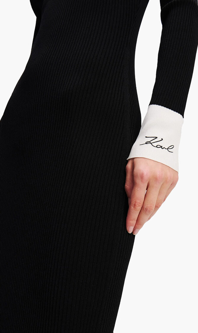 Long Sleeve Polo Knit Dress