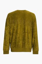 Solid Long Sleeves Sweatshirt