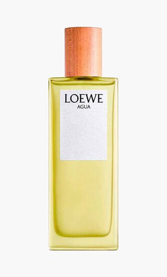 Loewe Agua EDT 100 ML