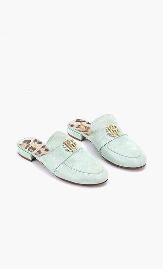 Iechy Flats