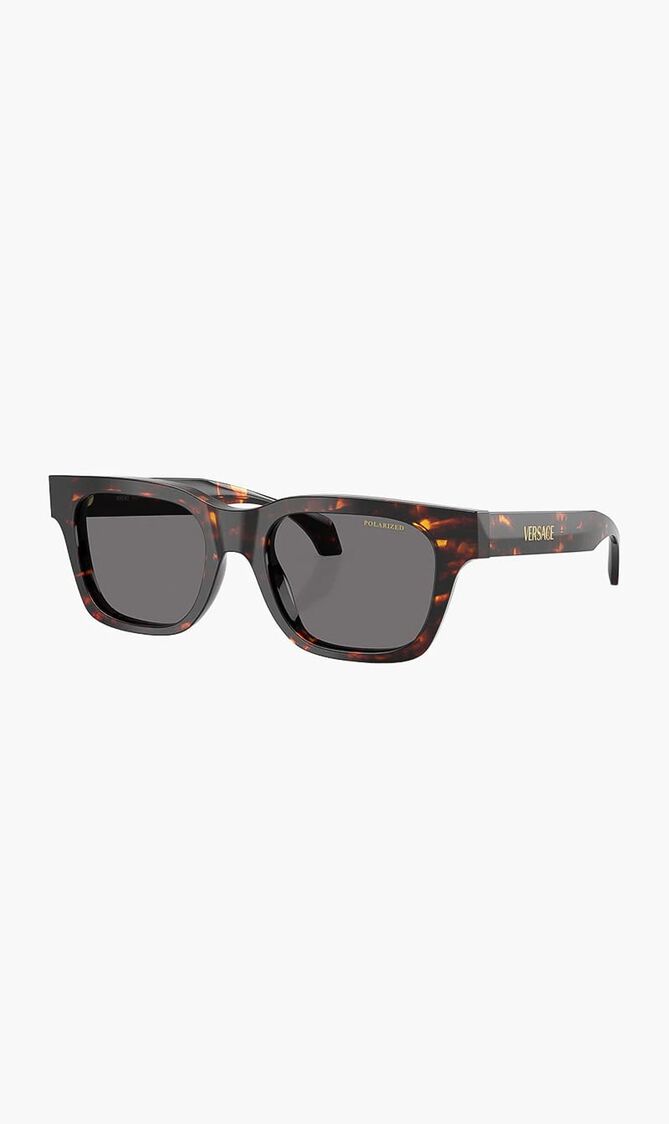 Havana Sunglasses