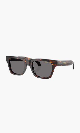 Havana Sunglasses