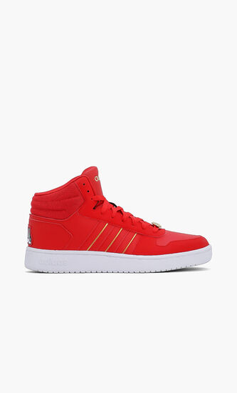 Hoops 2.0 Mid Sneakers