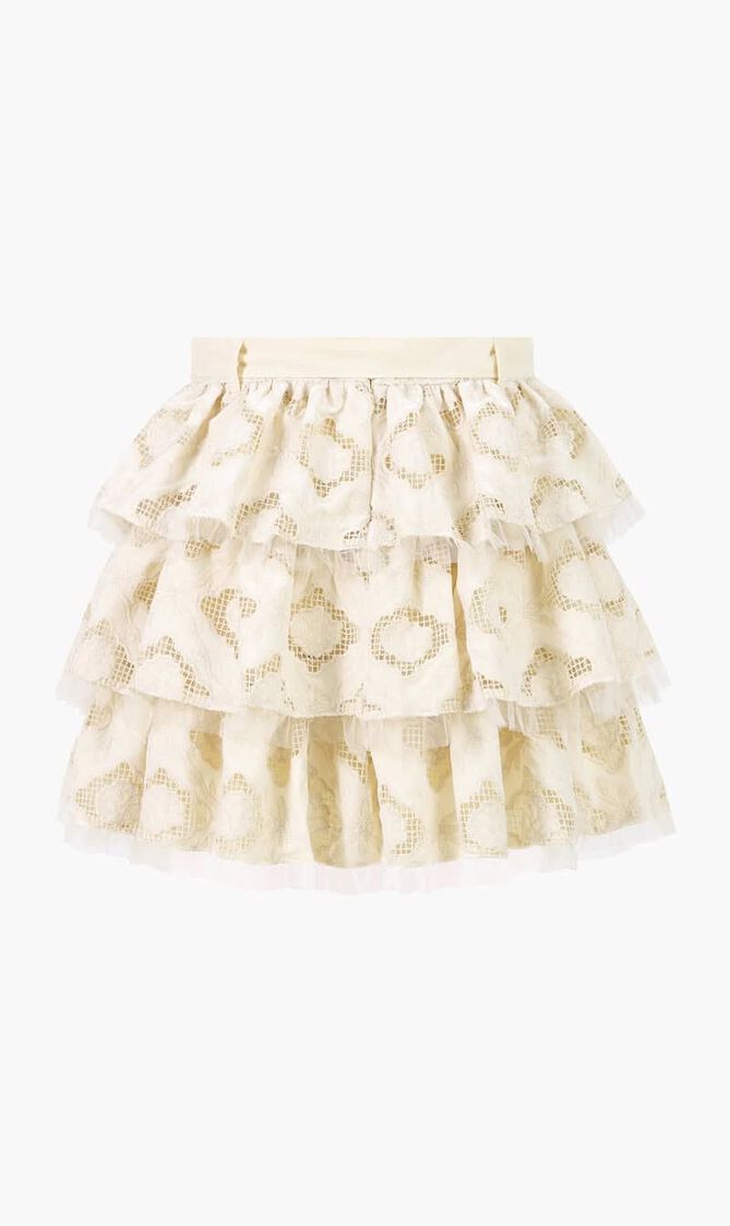Ava Embroidered Mini Skirt