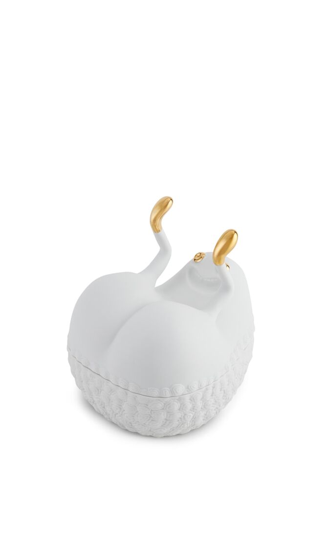 LOB HAAS BUTTS UP BOX - WHITE