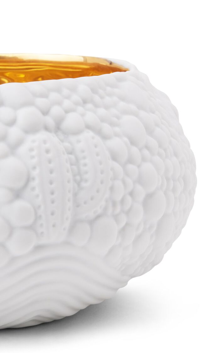 LOB HAAS MOJAVE DESSERT WHITE+GOLD BOWL-MED