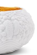 LOB HAAS MOJAVE DESSERT WHITE+GOLD BOWL-MED