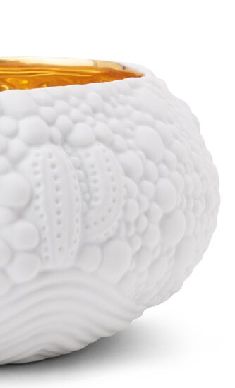 LOB HAAS MOJAVE DESSERT WHITE+GOLD BOWL-MED
