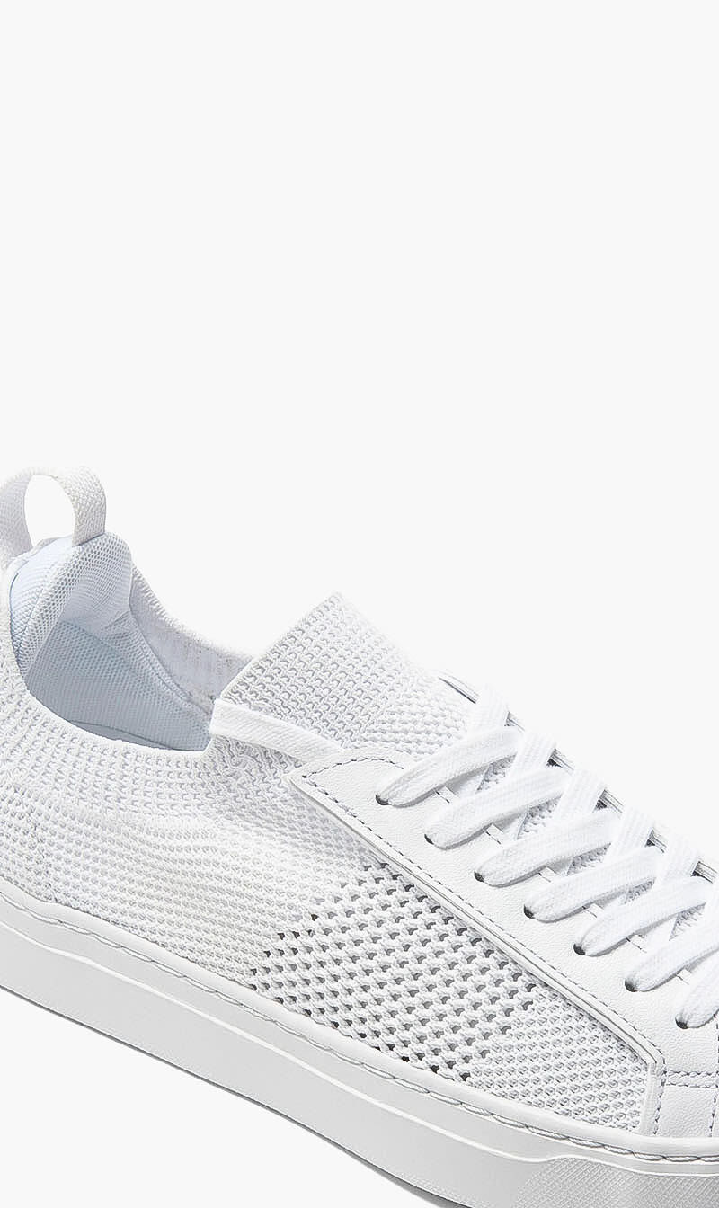 Buy LACOSTE La Piquee Lace Sneakers for SAR 595.00 The Deal Outlet