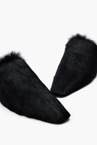 SELESTINA F SELESTINA F