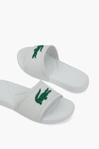 Classic Logo Slides