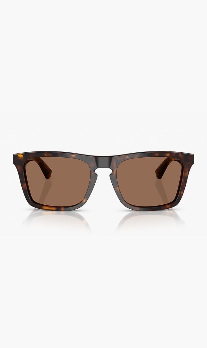 Dark Havana Sunglasses