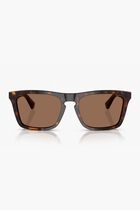 Dark Havana Sunglasses